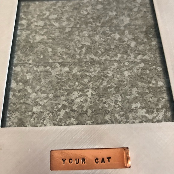 Cat Lover’s Lot - Picture 3 of 6